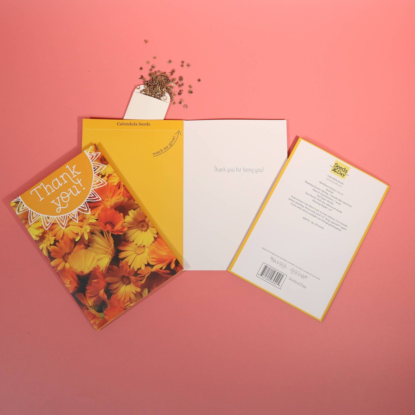 SEED PACKET GREETING . CARDS