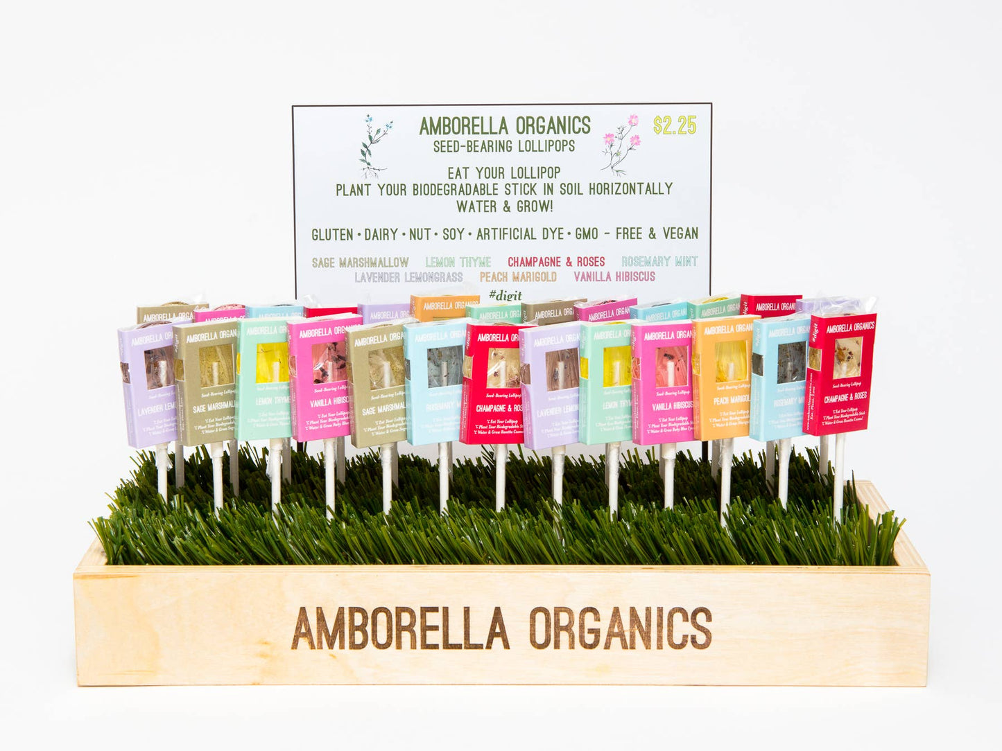Blooming Lollipop Bundle (Eat, Plant & Grow an Herb/Flower)