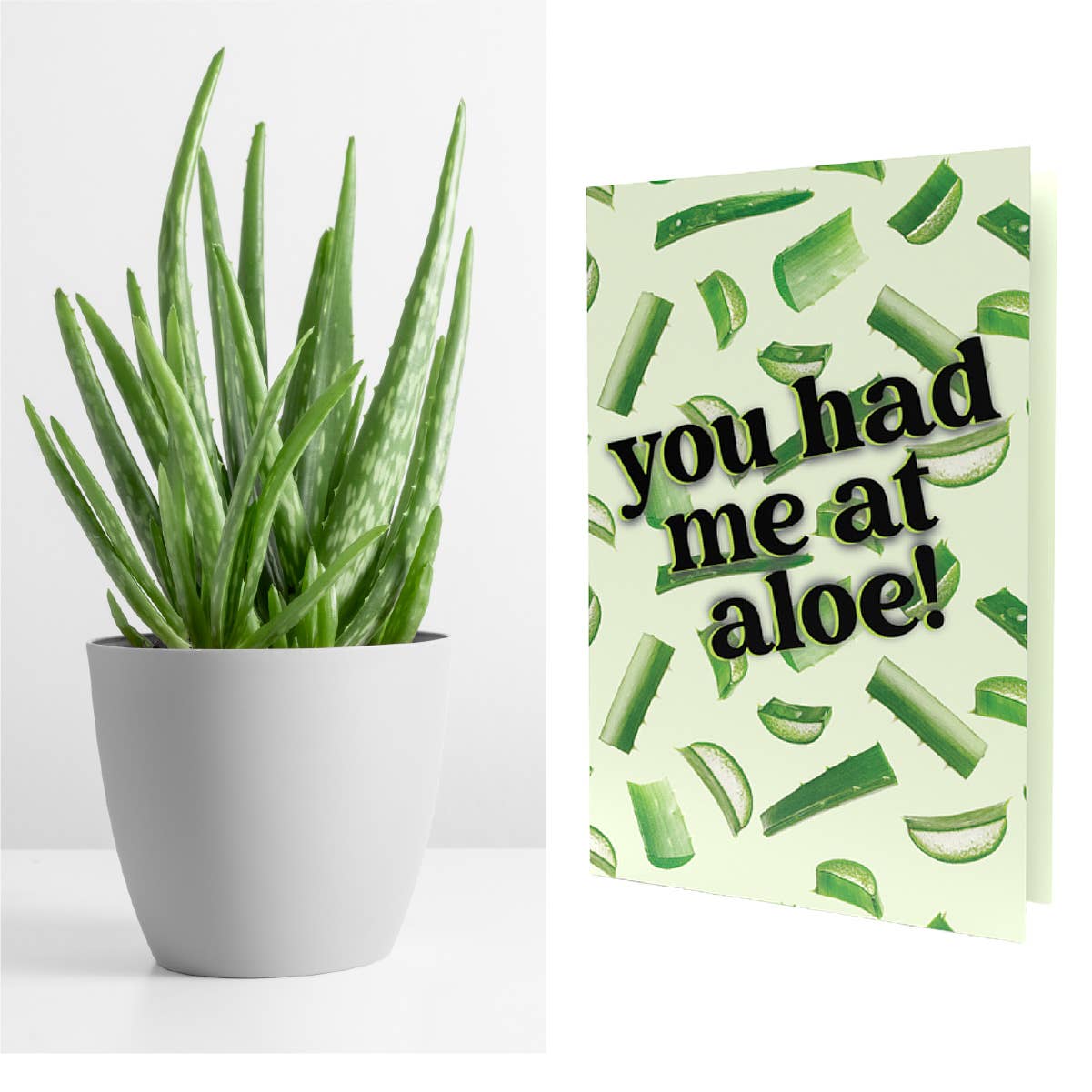 SEED PACKET GREETING . CARDS