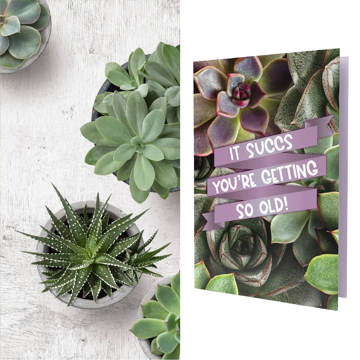 SEED PACKET GREETING . CARDS