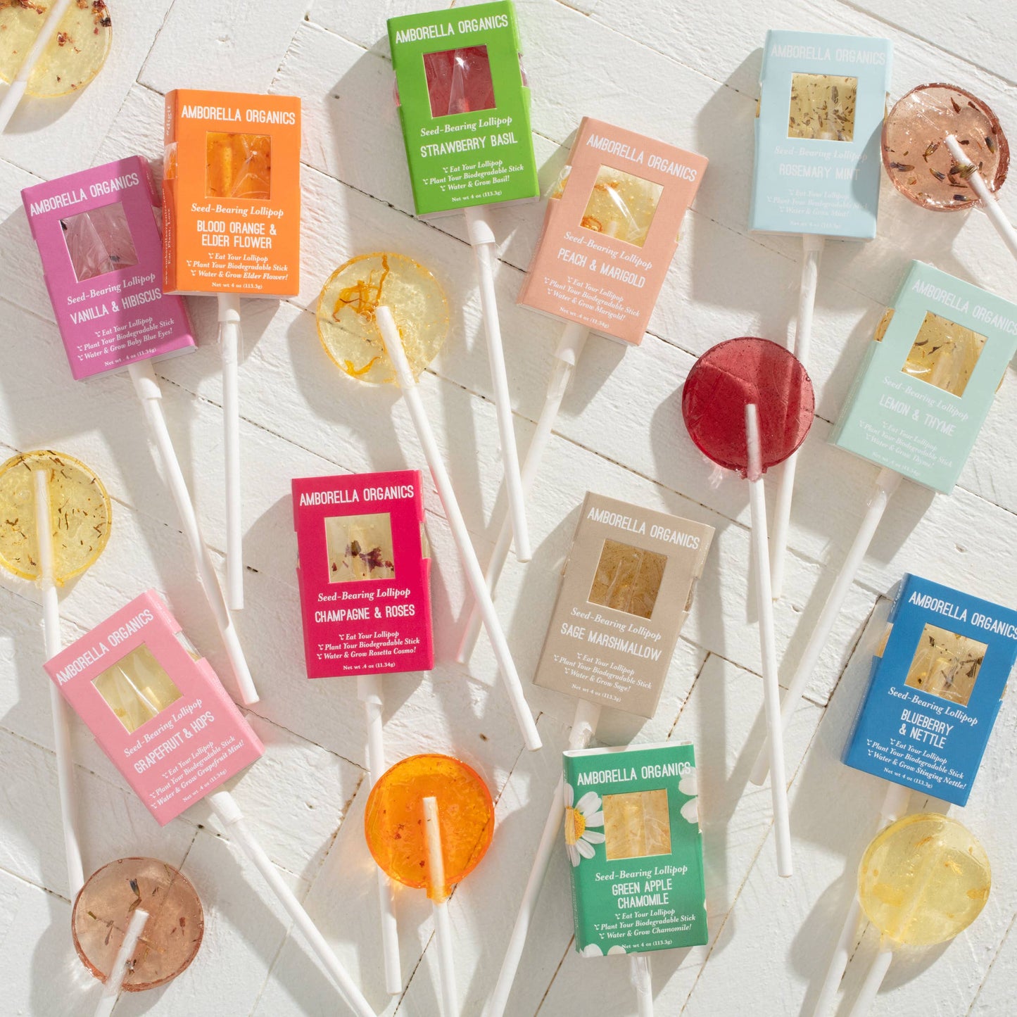 Blooming Lollipop Bundle (Eat, Plant & Grow an Herb/Flower)