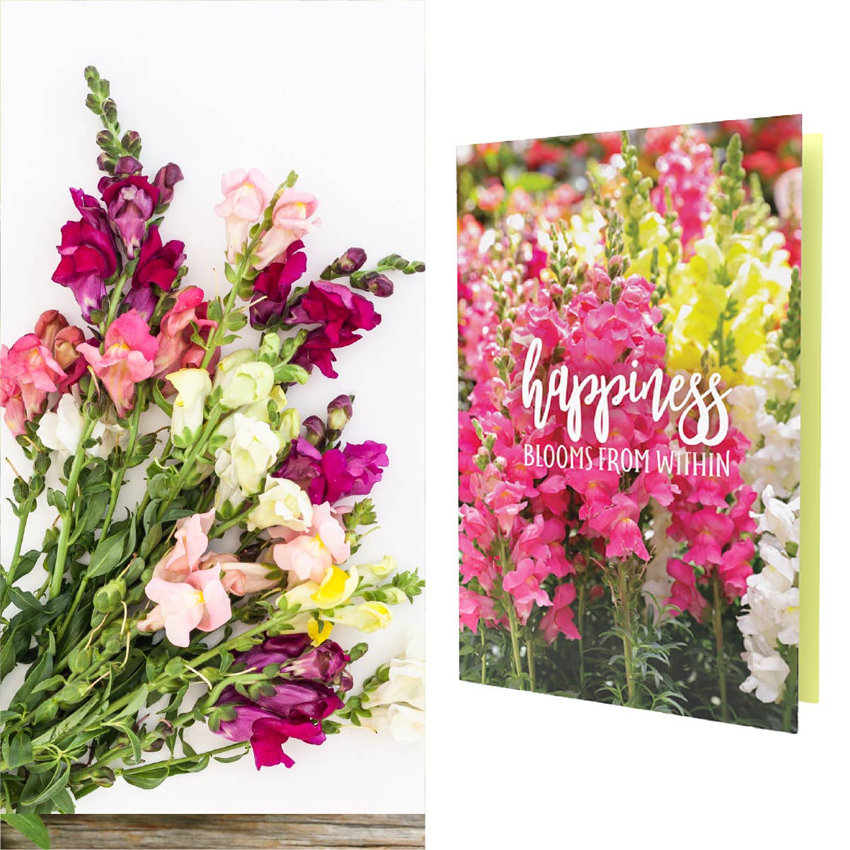 SEED PACKET GREETING . CARDS