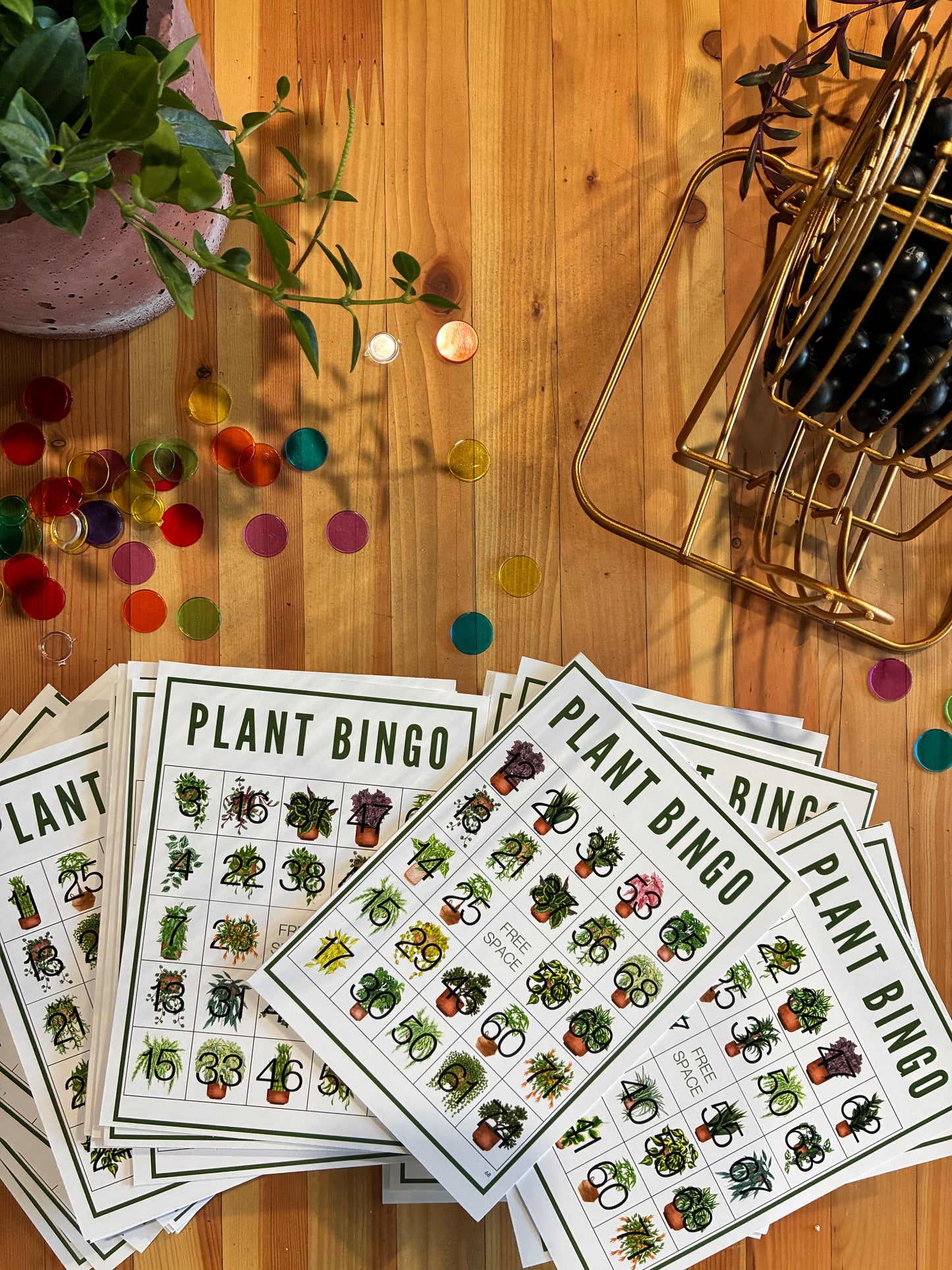 June Plant Bingo 6/20