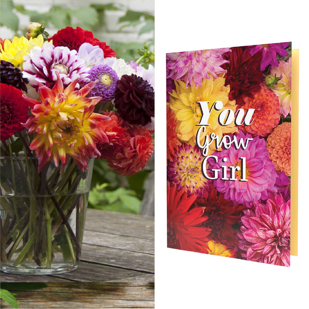 SEED PACKET GREETING . CARDS