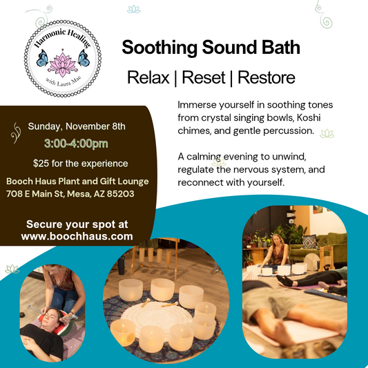 Soothing Sound Bath Experience by Harmonic Healing with Laura Mae November 8th