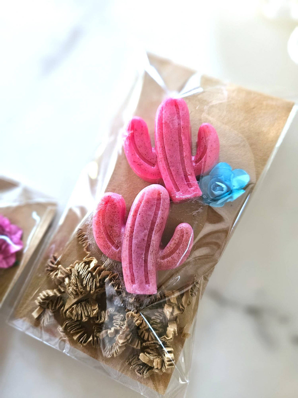 Soapy Saguaros | Pack of Two Botanical Vegan Soaps