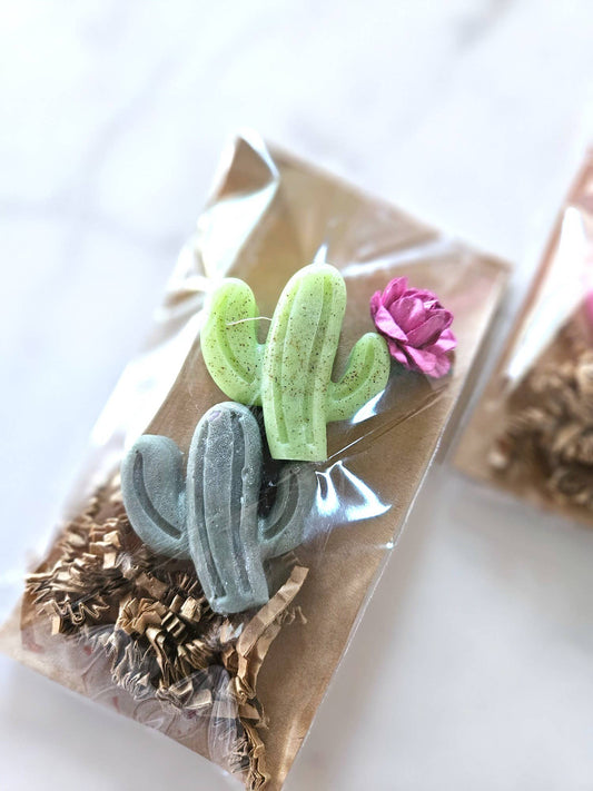 Soapy Saguaros | Pack of Two Botanical Vegan Soaps