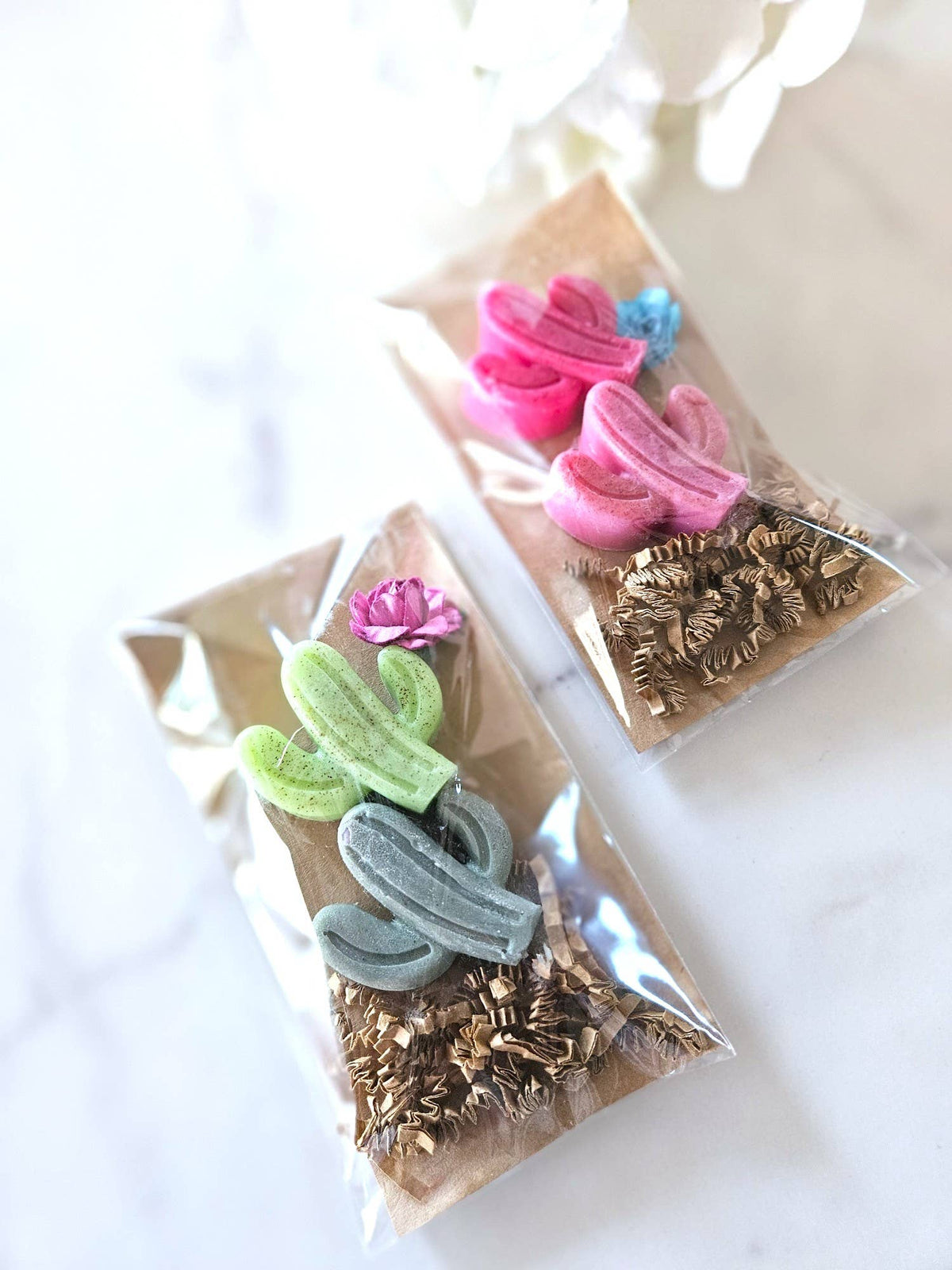 Soapy Saguaros | Pack of Two Botanical Vegan Soaps