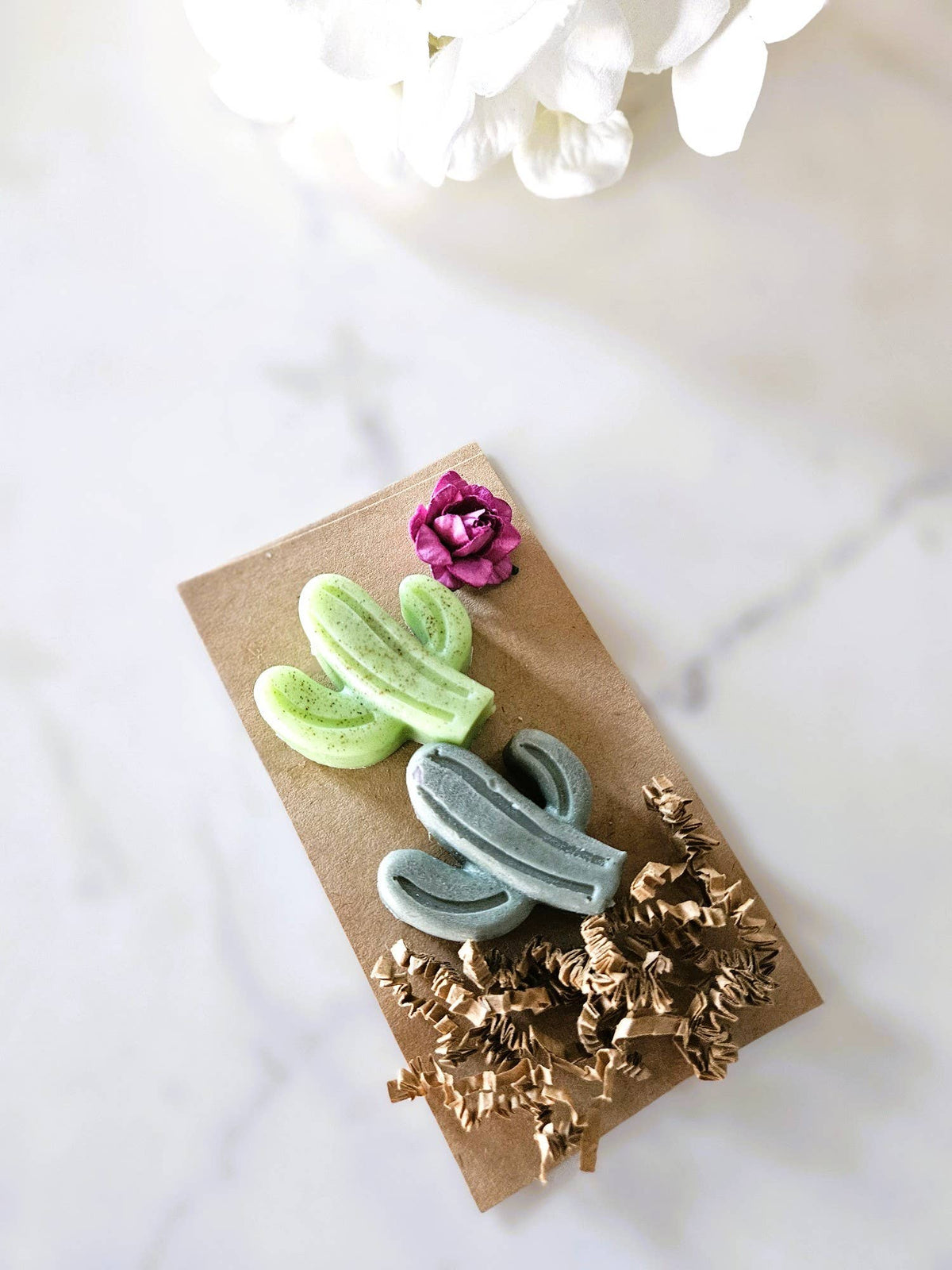 Soapy Saguaros | Pack of Two Botanical Vegan Soaps