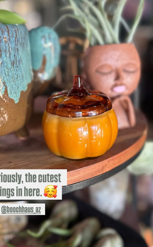 5 oz Cantrella Pumpkin Candles