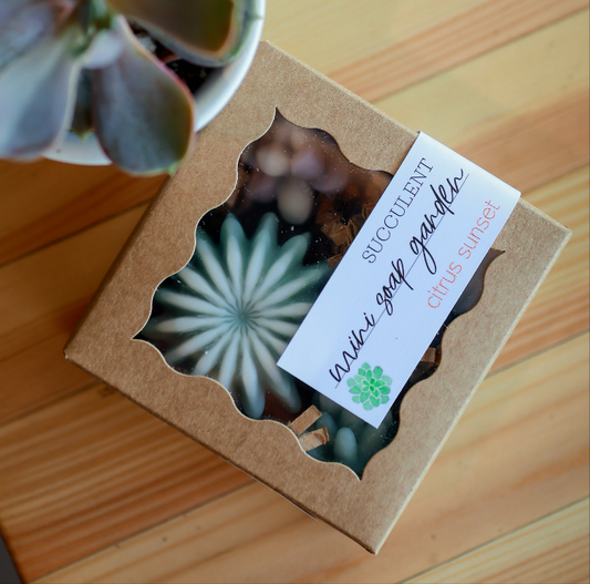 Mini Soap Garden - Cutest succulent set of 4