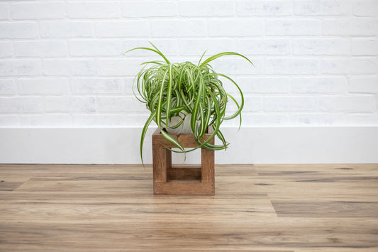Square Plant Stand-0