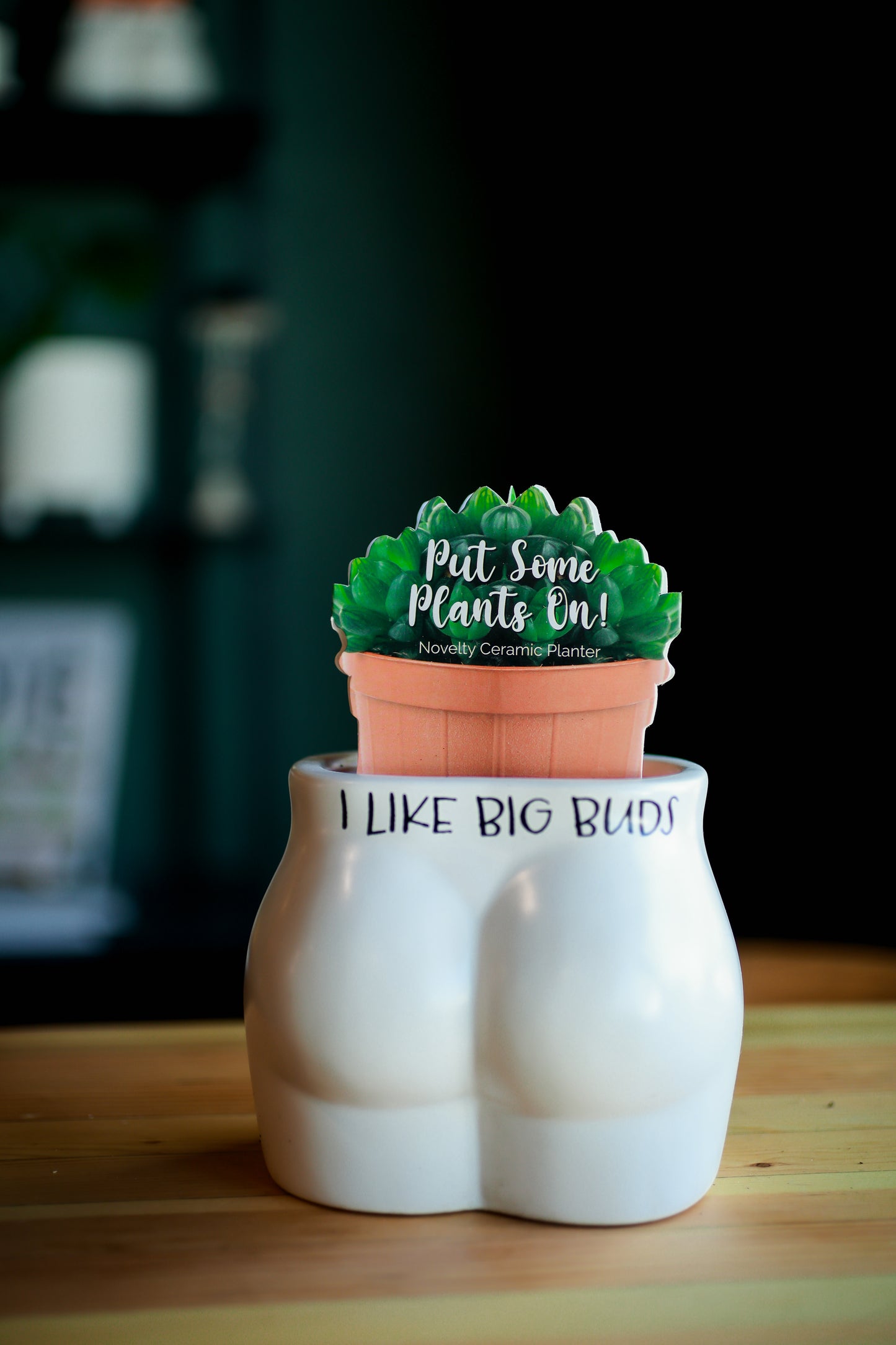 I Like Big Buds Put Some Plants On - Novelty Indoor Planter
