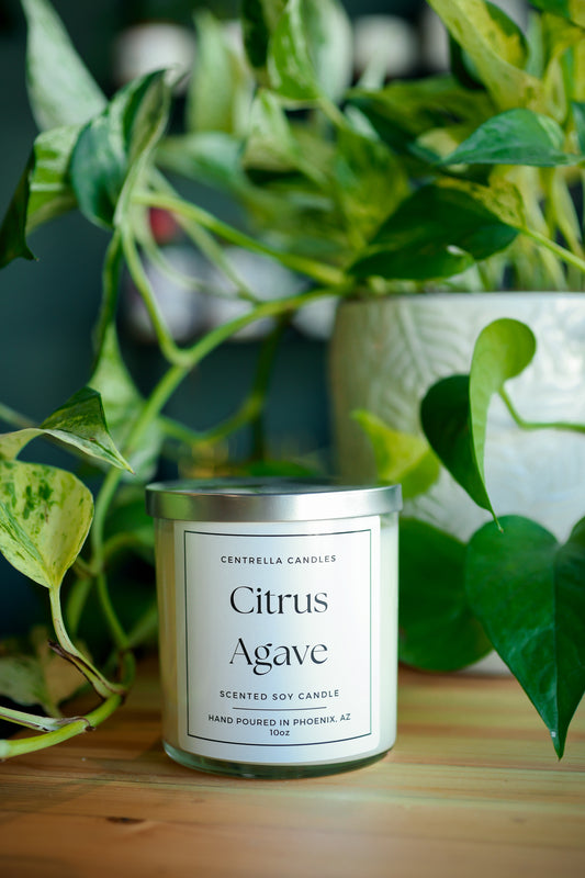 Centrella Candles- Citrus Agave Scented Soy Candle