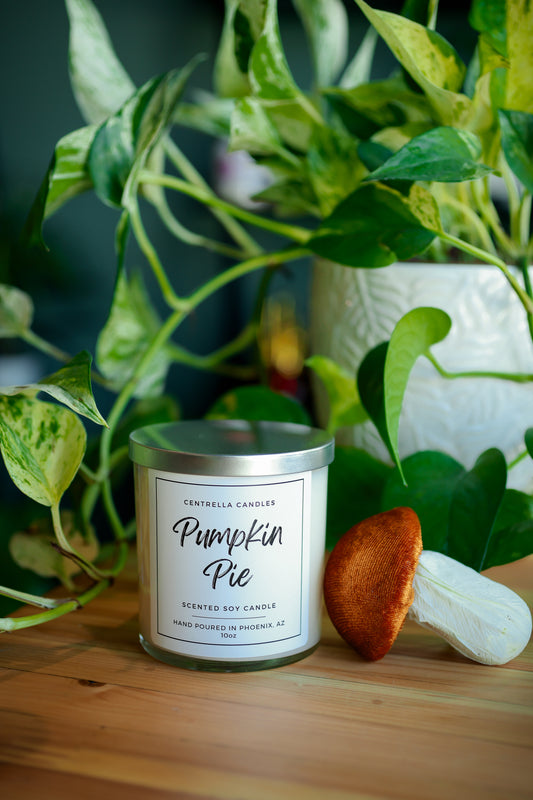 Centrella Candles- Pumpkin Pie Scented Soy Candle