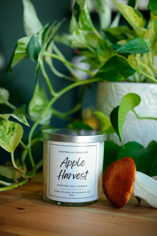Centrella Candles- Apple Harvest Scented Soy Candle