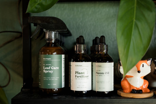 Plant Care Bestsellers Bundle