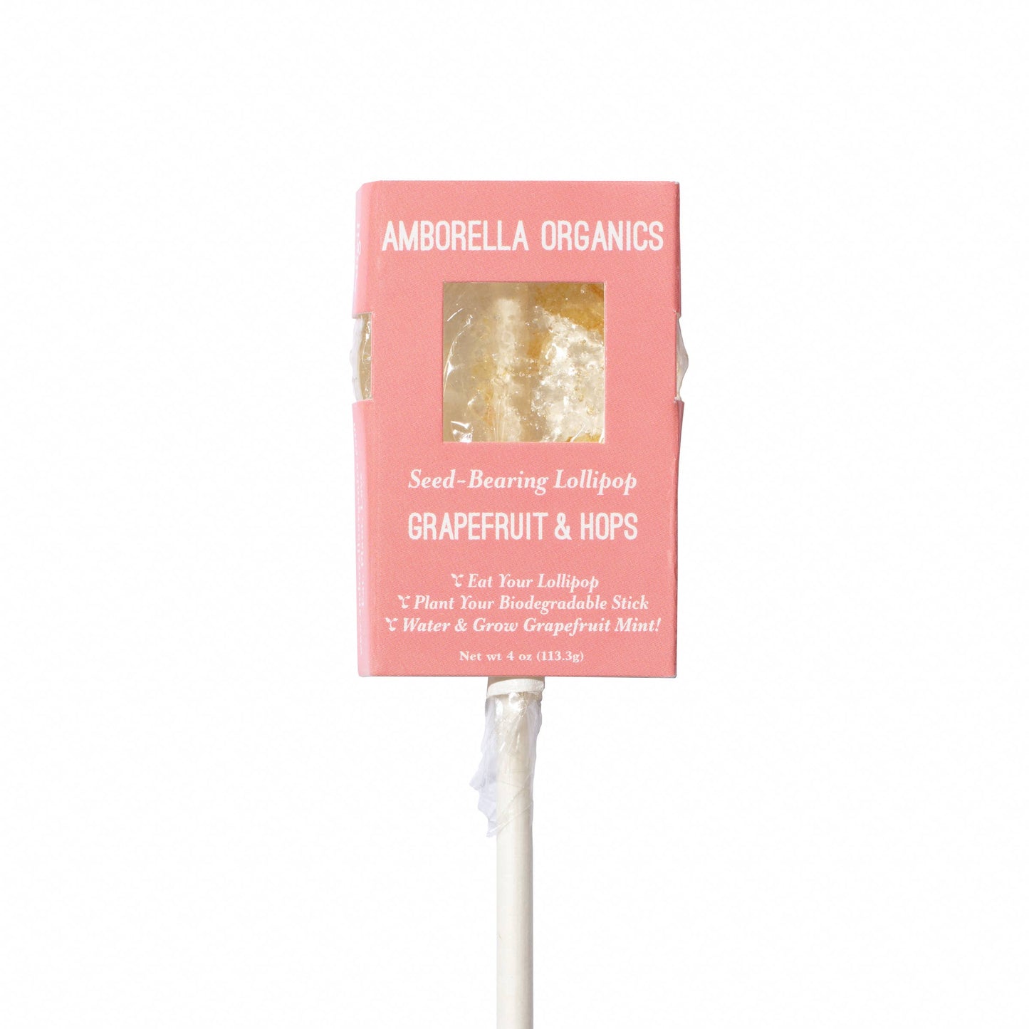 Blooming Lollipop Bundle (Eat, Plant & Grow an Herb/Flower)