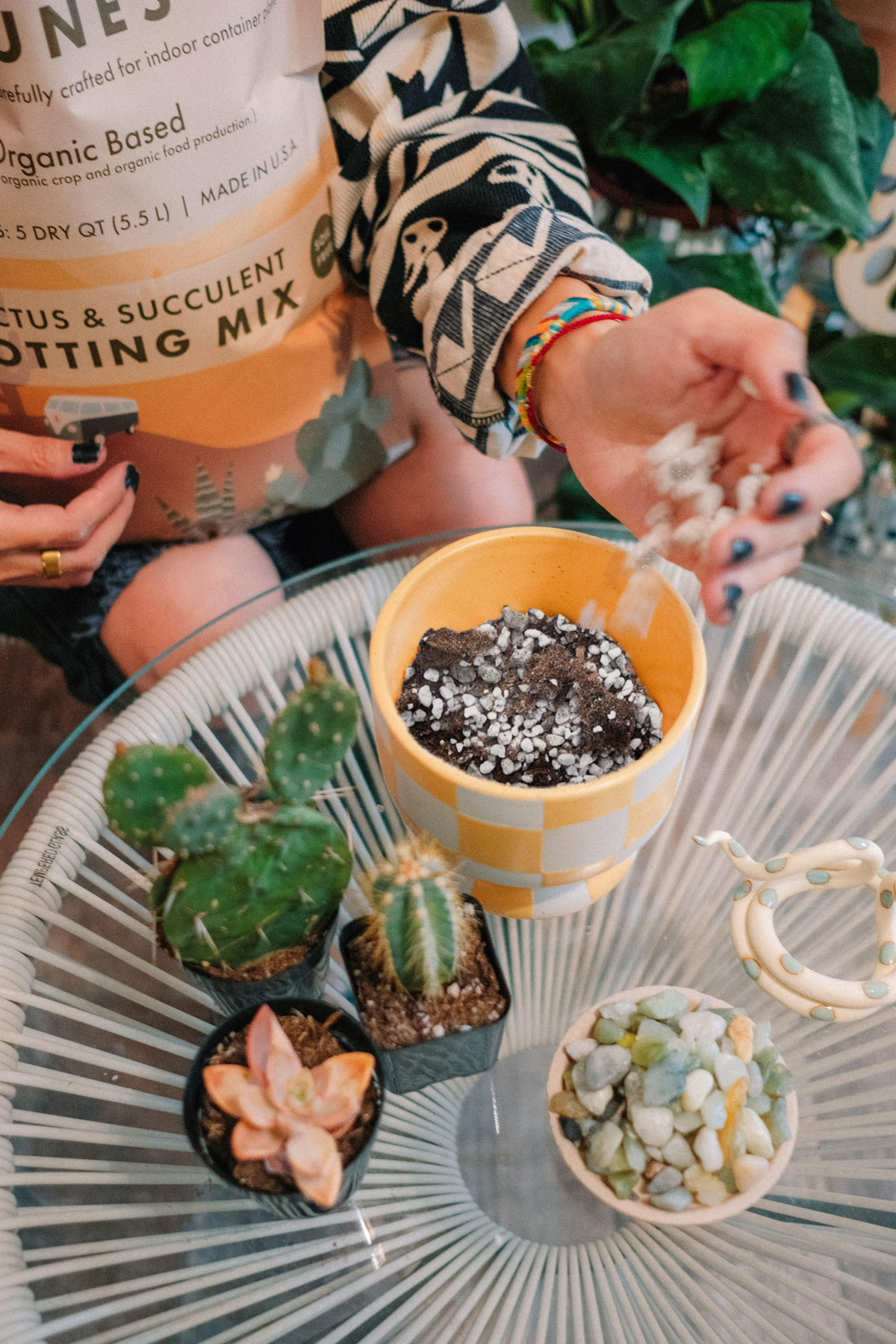 Organic Cactus & Succulent Potting Soil Mix - 1/2 Order